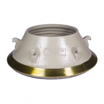 Bowl liner