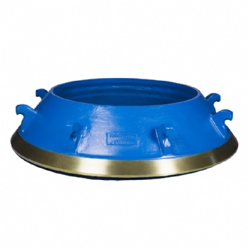 Bowl liner