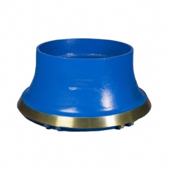 Bowl liner