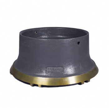 Bowl liner