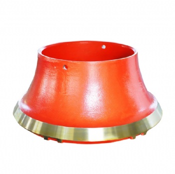 Bowl liner